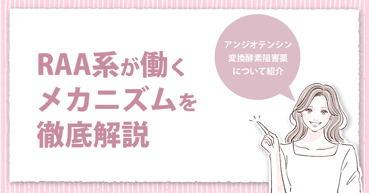 RAA系が働くメカニズムを徹底解説|アンジオテンシン変換酵素阻害薬について紹介