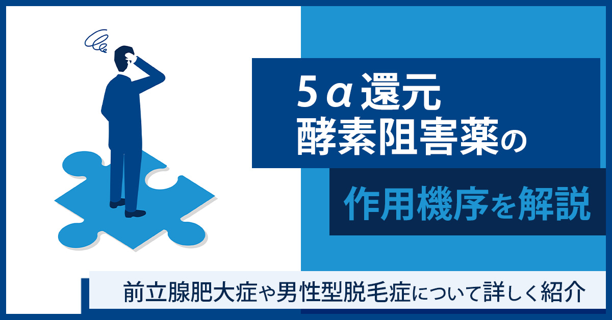 5α還元酵素阻害薬の作用機序を解説｜前立腺肥大症や男性型脱毛症について詳しく紹介
