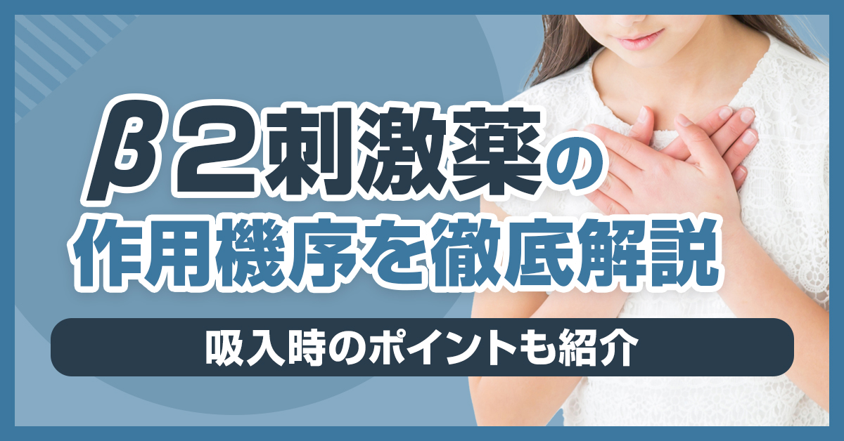 β2刺激薬の作用機序を徹底解説｜吸入時のポイントも紹介