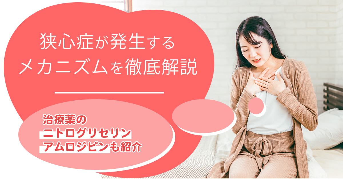 狭心症が発生するメカニズムを徹底解説｜治療薬のニトログリセリン・アムロジピンも紹介